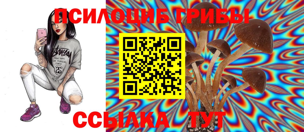Псилоцибиновые грибы MAGIC MUSHROOMS  Вход с VPN  Галлюциногенные грибы Psilocybine cubensis  Протвино 